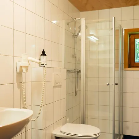 Nigschhof Schoppernau