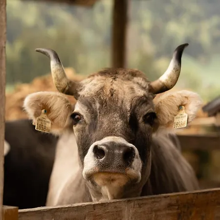 Farm stay Nigschhof